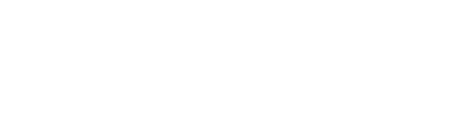 REVIER